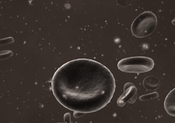 platelets_0363edcu copy